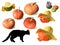 Set of nine pumpkins and a silhouette of a black cat isolated on a white background, attributes for Halloween