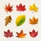 Set of Nine Vector Low Poly Autumn Leaves