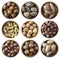 Set of nuts isolated on white background. Superfood with copy space for text. Brazil nut, peanuts, hazelnuts, macadamia, walnuts,