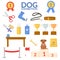 Set object of dog show. Exhibition equipment. Vector flat.