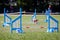 Set of obstacles on dog agility sport competitions