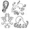 Set of octopus icons isolated on white background.