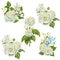 Set of5 acrylic white rose bouquets