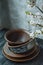 A set of old ceramic tableware. A set of plates, bowls. A branch of apricots. Dark wooden background