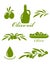 Set of olive design elements