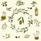 Set of olive doodle icons, hand drawn clipart of cute olive elements