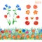 Set of orange, blue and red flowers. Poppies, tulips, roses,lilies, blue bells. Seamless floral border.