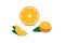 Set of Orange in flat design with shadow. Orange slice, half cut orange and front view of cut ripe orange. Vector illustration