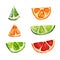 Set with orange, grapefruit and lime segments