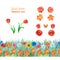 Set of orange and red flowers. Poppies, tulips, roses,lilies. Seamless floral border