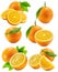 Set of oranges isolated on the white background