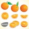 Set of oranges with leaf in various styles