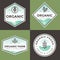 Set of organic food logo, badges, banners, emblem with pattern. Package design. Clean food. Natural food, healthy food.