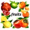 Set of organic fresh fruits, lemon, mandarin, pomegranate, lime, persimmon, eco food, frame with text, creative layout