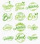 Set of organic, local, fresh, natural, vegan, healthy handwritten lettering logos, labels, emblems.