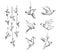 Set of origami birds, vector sketch