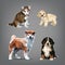 Set of origami-style dogs. vector illustration