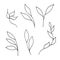 Set of ornamental leaves, twigs in Doodle style. Hand drawn illustrations on white background. Black silhouettes. Elegant floral