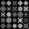 Set of ornamental snowflakes
