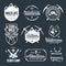 Set of outdoor wild life related labels badges emblems. Vector vintage illustration.