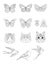 Set of outline cats, tiger, birds, butterflies and bees.