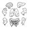 Set of outlined funny human organs with cute smiling faces