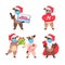 Set oxes in santa hats celebrating happy new year cute cows mascot cartoon characters collection