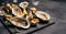 Set of oysters and snails on black platter