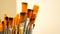 Set of paint brushes close-up. Art studio concept.