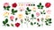 Set of pale pink red yellow roses flowers buds green leaves