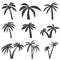 Set of palm tree icons isolated on white background. Design elem