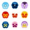 Set of pansy flower vector.