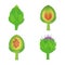 Set of paper cut green artichokes. Vector paper craft design in the form of ripe artichoke whole and slice. Vector