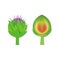 Set of paper cut green artichokes. Vector paper craft design in the form of ripe artichoke whole and slice. Vector