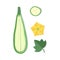 Set of paper cut zucchini. Origami squash half, a pieces,. Collection of vegetable marrow leaf and flower. Vector card