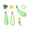 Set of paper cut zucchini. Origami squash whole, a piece, slice. Collection of vegetable marrow leaf and flower. Vector