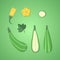Set of paper cut zucchini. Origami squash whole, a piece, slice. Collection of vegetable marrow leaf and flower. Vector