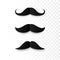 Set of Paper Mustaches. Black silhouette of moustaches. Fathers day decorative element. isolated vector illustration