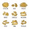 Set pasta. Farfalle, conchiglie, maccheroni, fusilli, penne, pipe rigate. Engraving