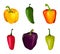 Set of pepper on white background. Variety vector pepper in flat style