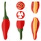 Set of Peri peri chili peppers. Flat style.