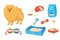 Set. pet shop icons. dog, breed Pomeranian. Accessories for dogs. Flat vector illustration. Feed, toys, balls, collar