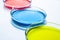 Set of Petri dishes with colored liquid