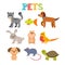 Set of pets. Cute home animals in cartoon style