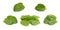 Set photos of spinach leaves from different angles. Ingredient for a healthy diet. Isolated on a white background