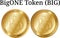 Set of physical golden coin BigONE Token BIG