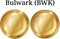 Set of physical golden coin Bulwark BWK