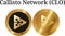 Set of physical golden coin Callisto Network CLO