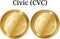 Set of physical golden coin Civic CVC