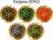 Set of physical golden coin Enigma ENG